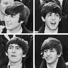 the-beatles-220px-the_fabsjpg