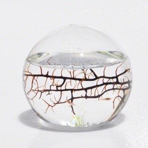 20131124su-ecosphere-round-globe-glass-sphere