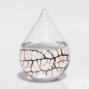 20131124su-ecosphere-round-globe-glass-sphere-drop