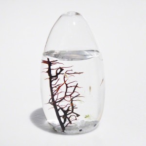 20131124su-ecosphere-round-globe-glass-sphere-tall-pod