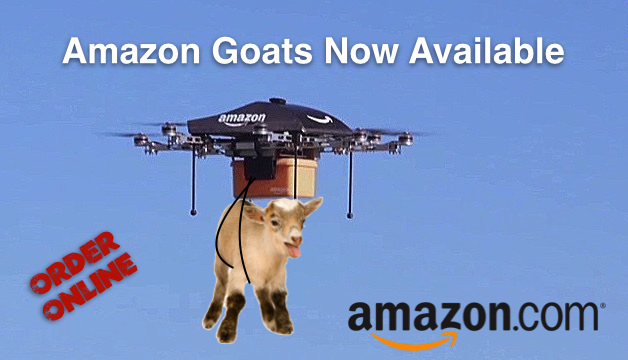 20150407tu-hire-a-goat-amazon-grazing-trimming-weeds-grass-rental-buy-purchase